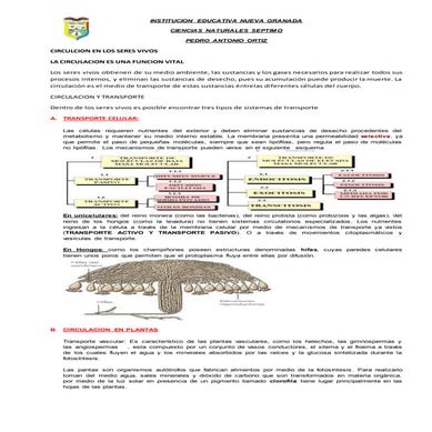 1. guia septimo circulacion en plantas