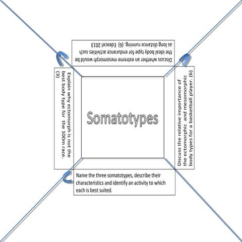  somatotype-rotation-square