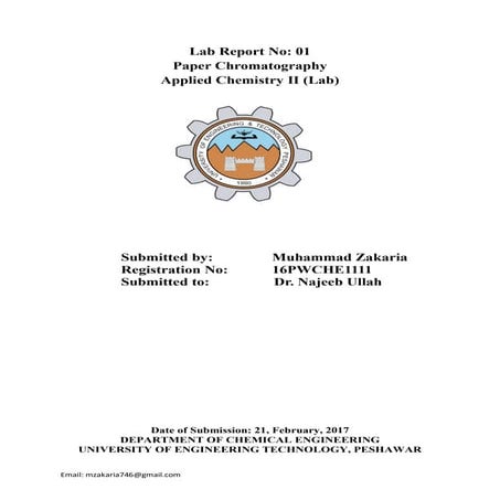 Paper chromatography | PDF