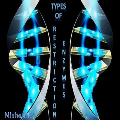 Types of Restriction Endonuclease enzymes