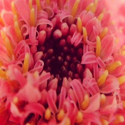 1. la etica en la evaluación educativa.   copia