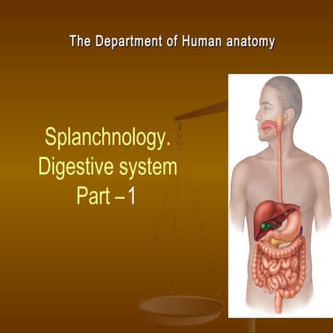Splanchnology. Digestive System - Part 1