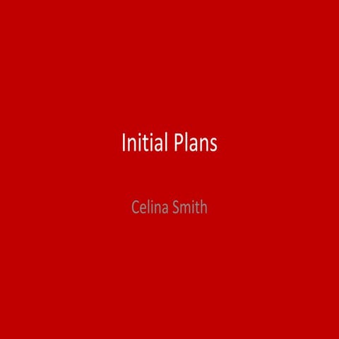 1. initial plans