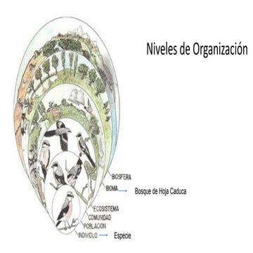 1.1 Materia y energia imagenes