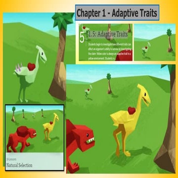 Adaptive Traits
