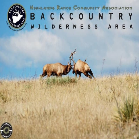 HRCA Backcountry Wilderness Area Bench