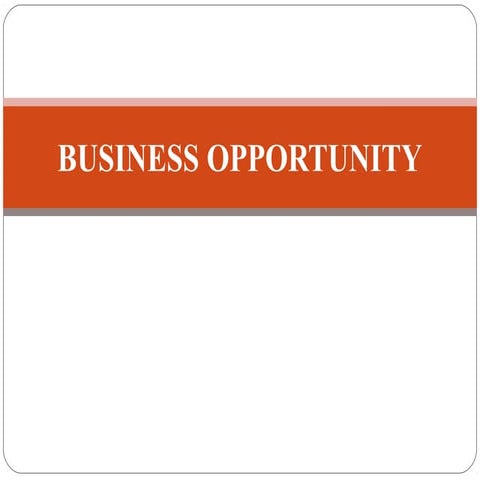 BUSINESS OPPORTUNITY AND SELECTION