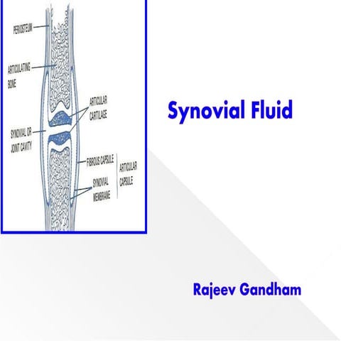 SYNOVIAL FLUID 