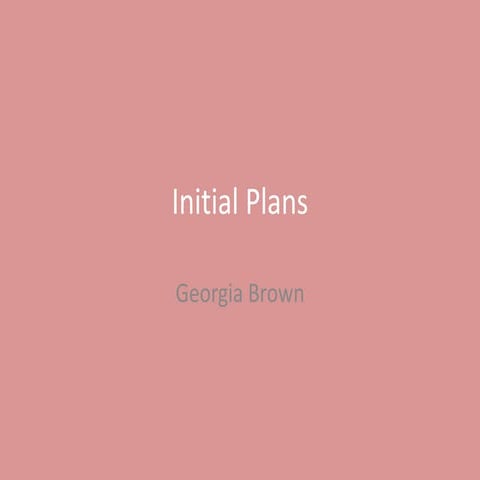 1. Initial Plans