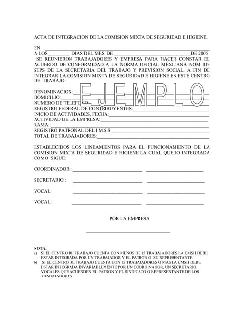 ACTA DE INTEGRACION DE LA COMISION MIXTA DE SEGURIDAD E HIGIENE. | PPT