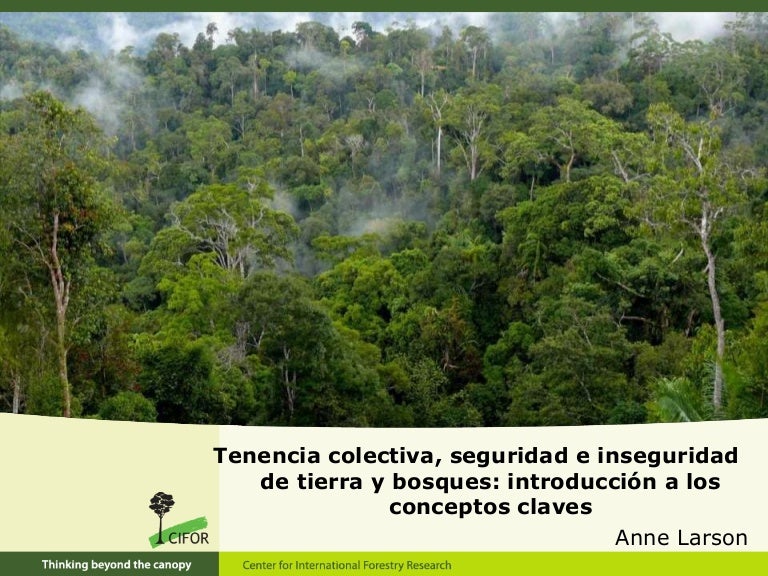 thumbnail of  Tenencia colectiva, seguridad e inseguridad de tierra y bosques: introducción a los conceptos claves