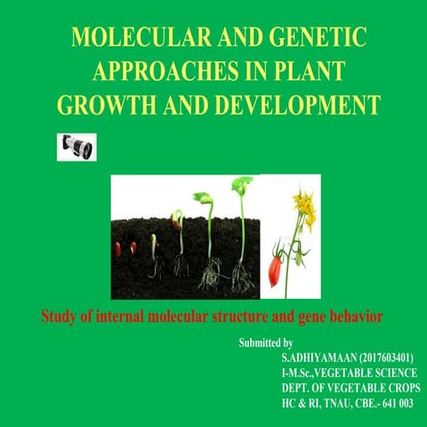 MOLECULAR AND GENETIC APPROACHES IN PLANT GROWTH AND DEVELOPMENT | PPT