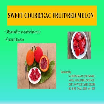 Sweet gourd (Momordica cochinchinensis)