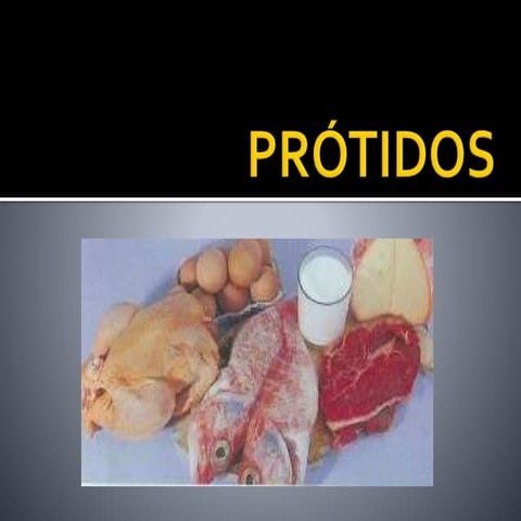 Tema 3 Prótidos