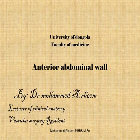  anterior abdominal wall
