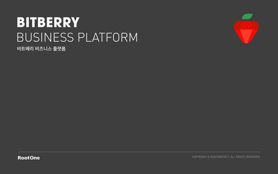 Bitberry presentations