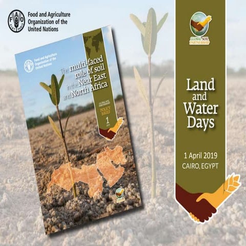 The multi-faced role of soil in the NENA regions (part 1)