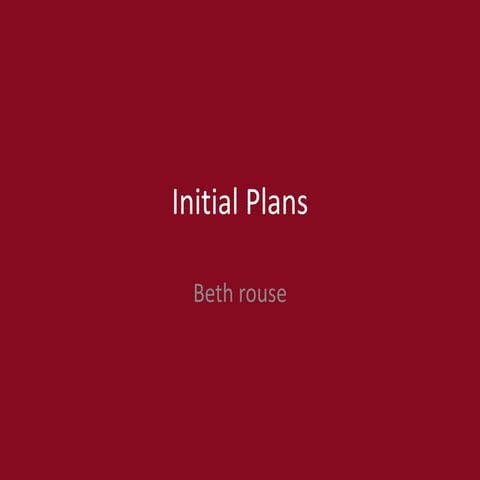 1. initial plans