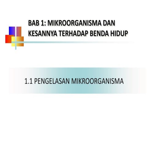 1.1 pengelasan mikroorganisma