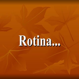 1.2.1.rotina