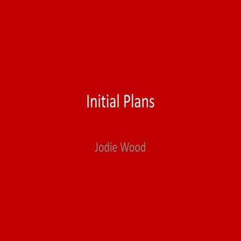 1. Initial Plans
