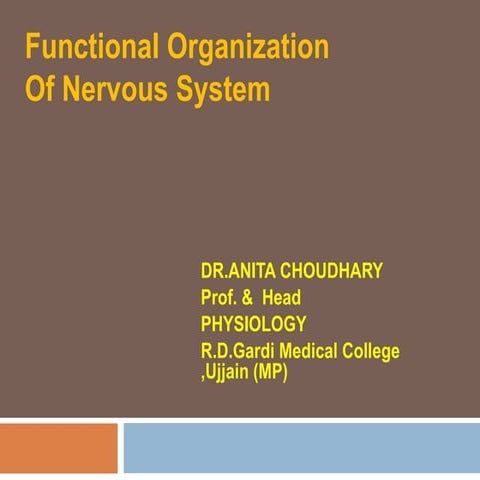 1. Central Nervous System - Functional Organization  (Physiology)