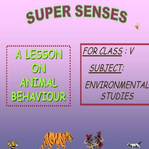 1.super senses | PPTX