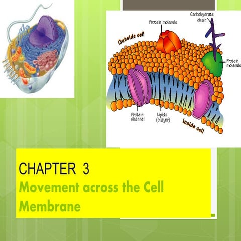 The fluid mosaic model of membrane structure | PPT