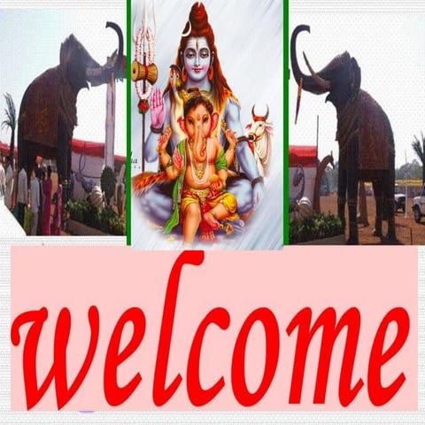 CROP PRODUCTION AND FACTORS AFFECTING IT