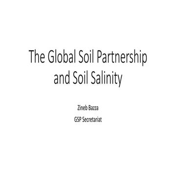 International Network on Salt-Affected Soils (INSAS) and salinity mapping