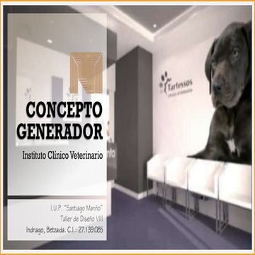 Concepto Generador - Criterios funcionales