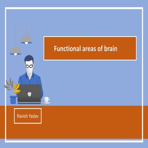 Functional areas of brain