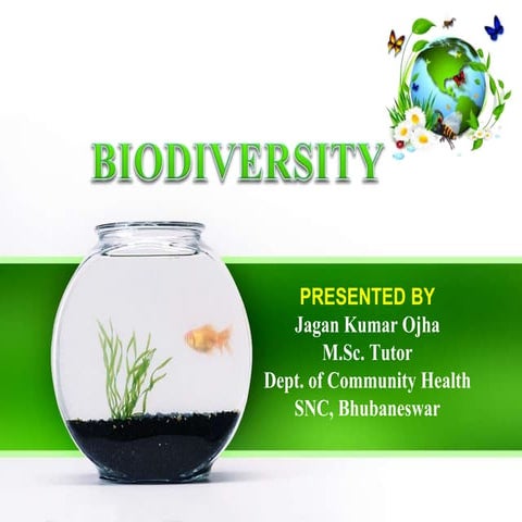 Biodiversity concept, types & its values