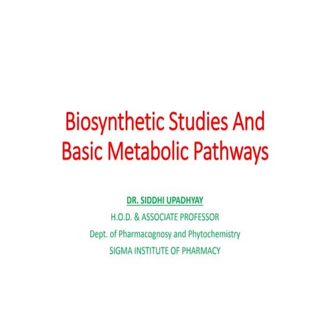 Biosynthetic_Pathways