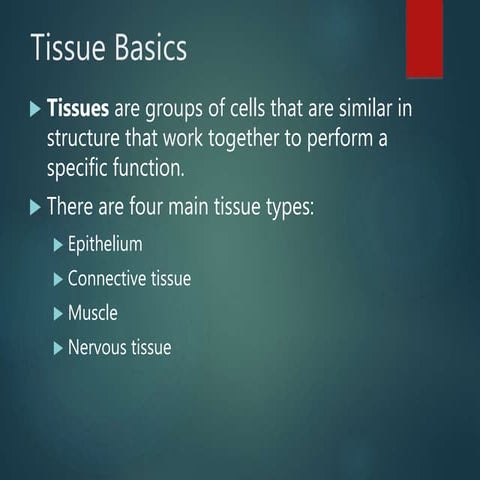 1.2.1.a body tissues hbs