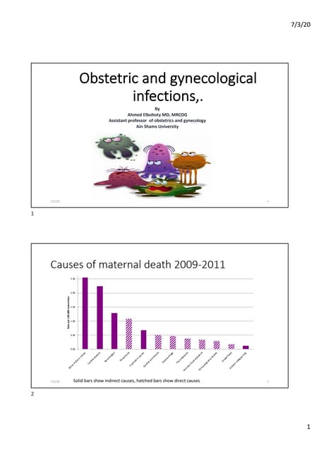 TSE/BSE Evaluation | PPTX