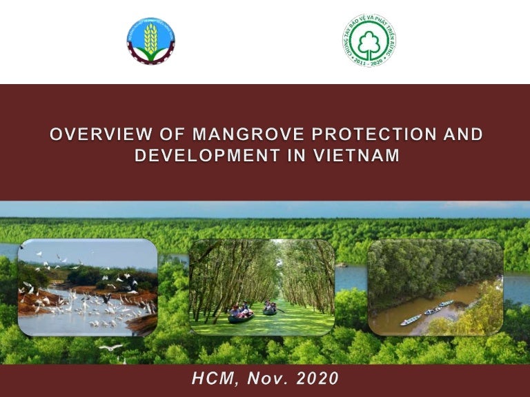 thumbnail of  Overview of Mangrove Protection and Development in Vietnam