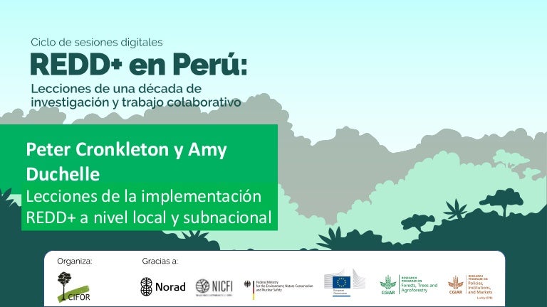 thumbnail of  Lecciones de la implementación REDD+ a nivel local y subnacional
