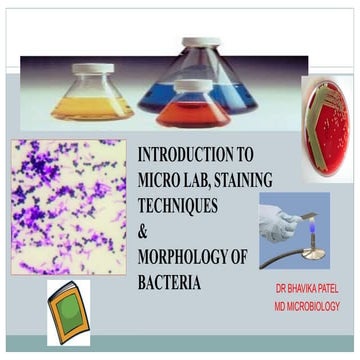 INTRODUCTION TO MICRO LAB, STAINING TECHNIQUES & MORPHOLOGY OF BACTERIA