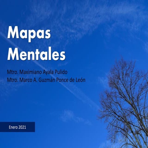 Mapas Conceptuales y Mapas Mentales | PDF
