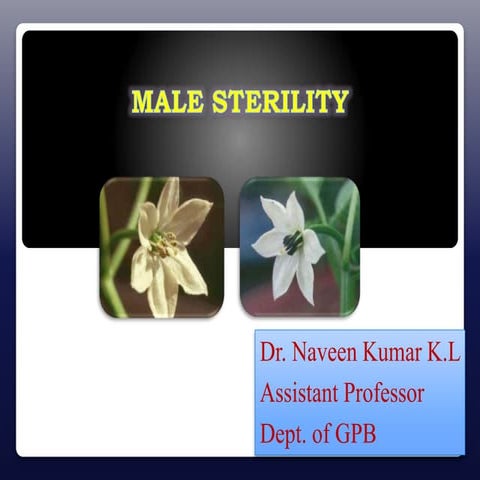 Male sterility 