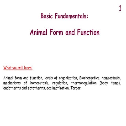 1. animal form and function. animal form and function. animal form and function