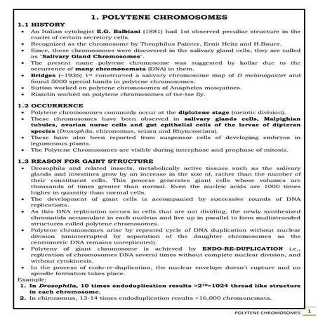 2. Special chromosomes - Polytene chromosomes