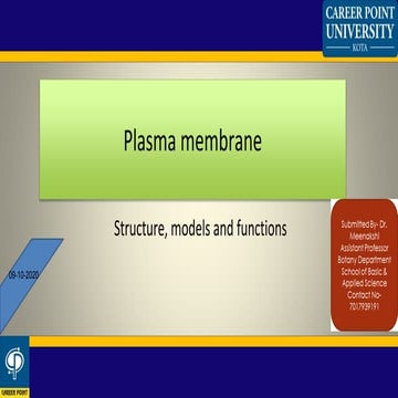 1.plasma membrane