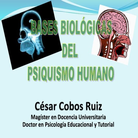 1.b bases biologicas de la personalidad