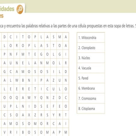 sopa de letras célula