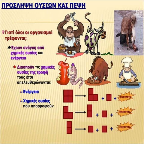 1.προσληψη ουσιων και πεψη