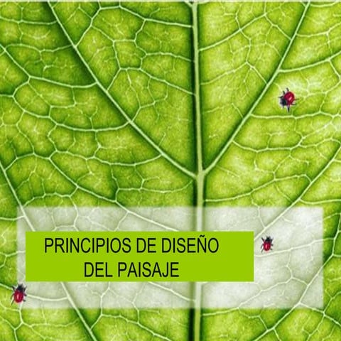 1 . 4 Criterios para diseño paisajistico.ppt