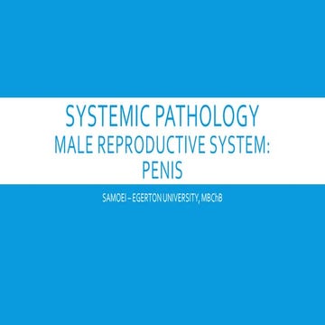 1. PATHOLOGIES OF THE PENIS.pptx