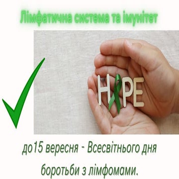 Лімфатична система та імунітет